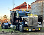 Peterbilt 379 Bugshield