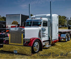 Peterbilt 379 Bugshield