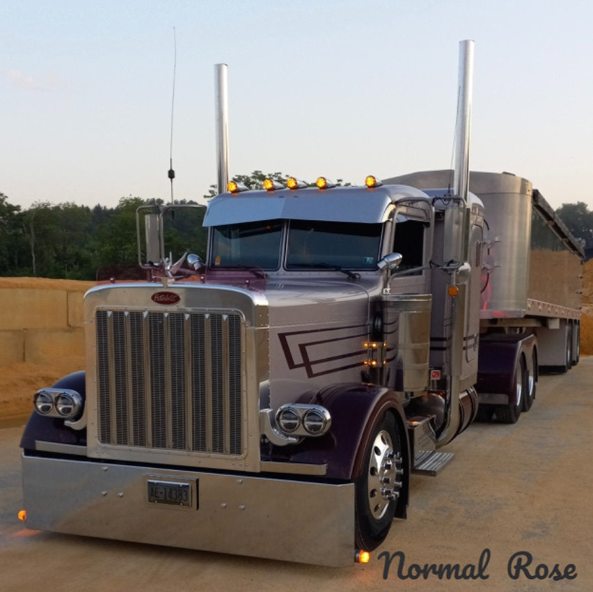 Peterbilt 379 Bugshield