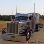 Peterbilt 379 Bugshield