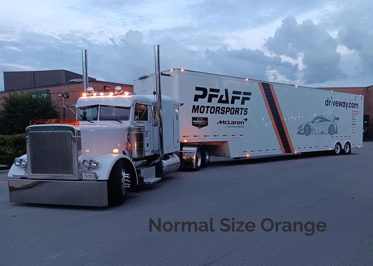Peterbilt 379 Bugshield