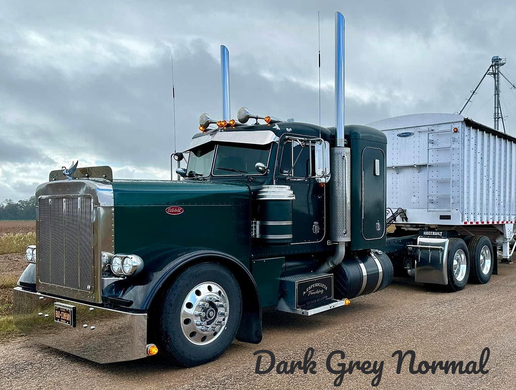 Peterbilt 379 Bugshield