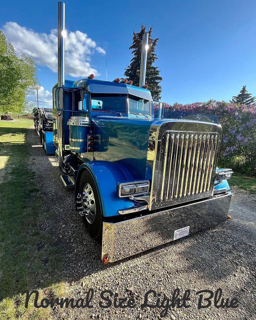 Peterbilt 379 Bugshield