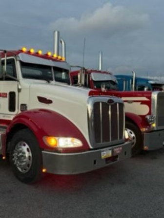 Peterbilt 384/386 Bugshield
