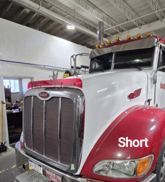 Peterbilt 384/386 Bugshield