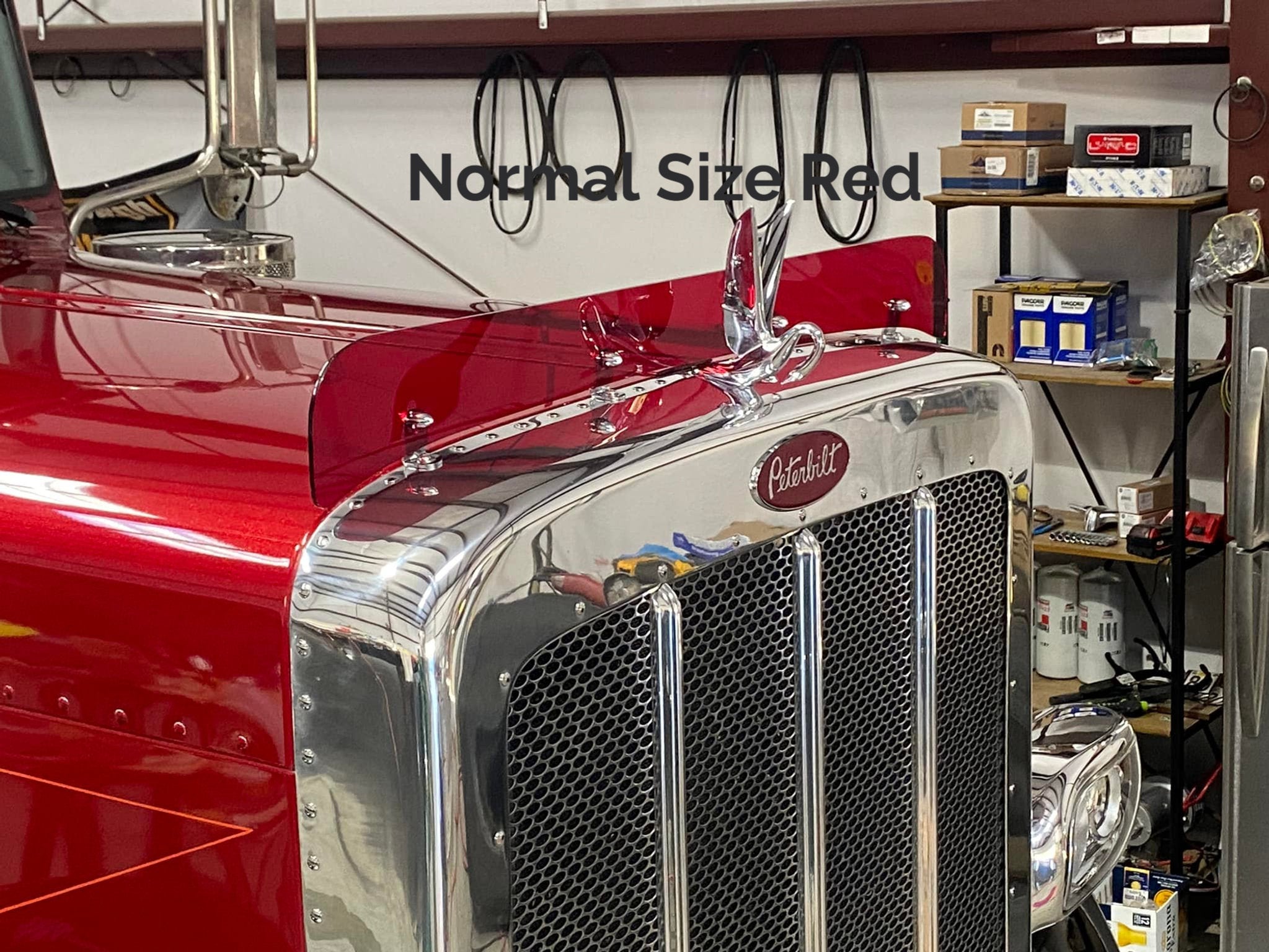 Peterbilt 389/388 Bug Shield