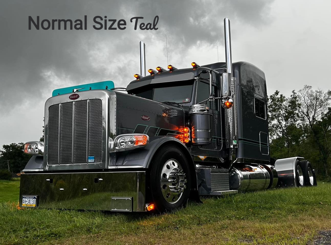 Peterbilt 389/388 Bug Shield
