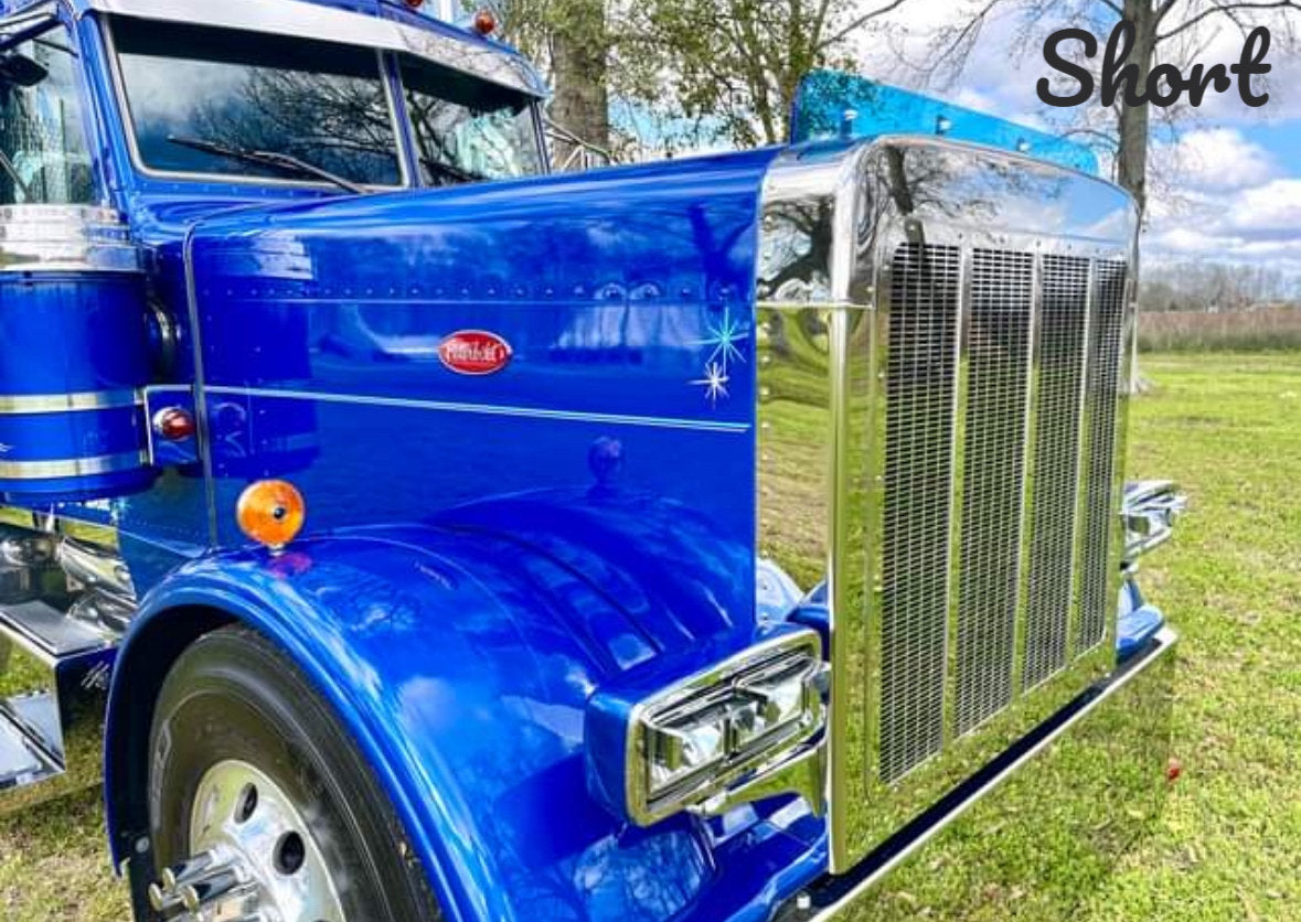 Peterbilt 389/388 Bug Shield