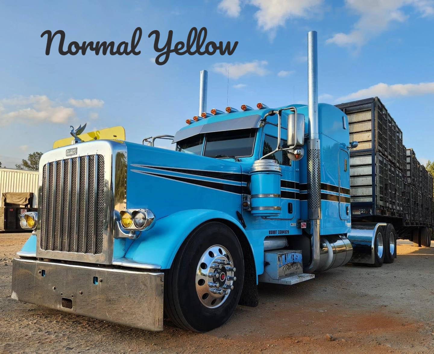 Peterbilt 389/388 Bug Shield