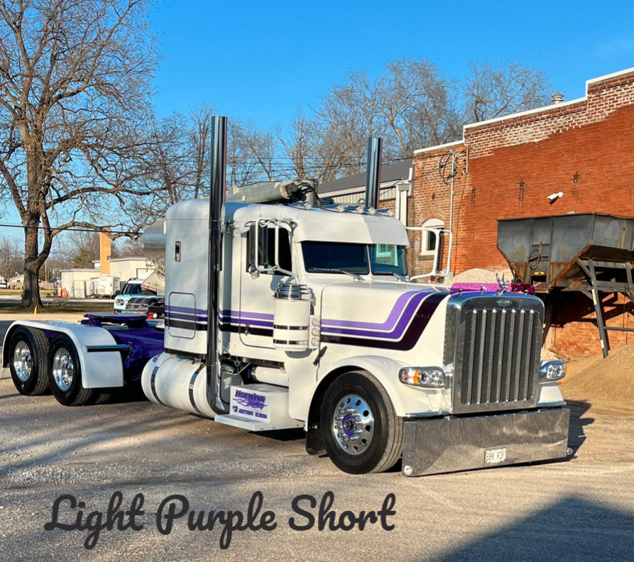 Peterbilt 389/388 Bug Shield