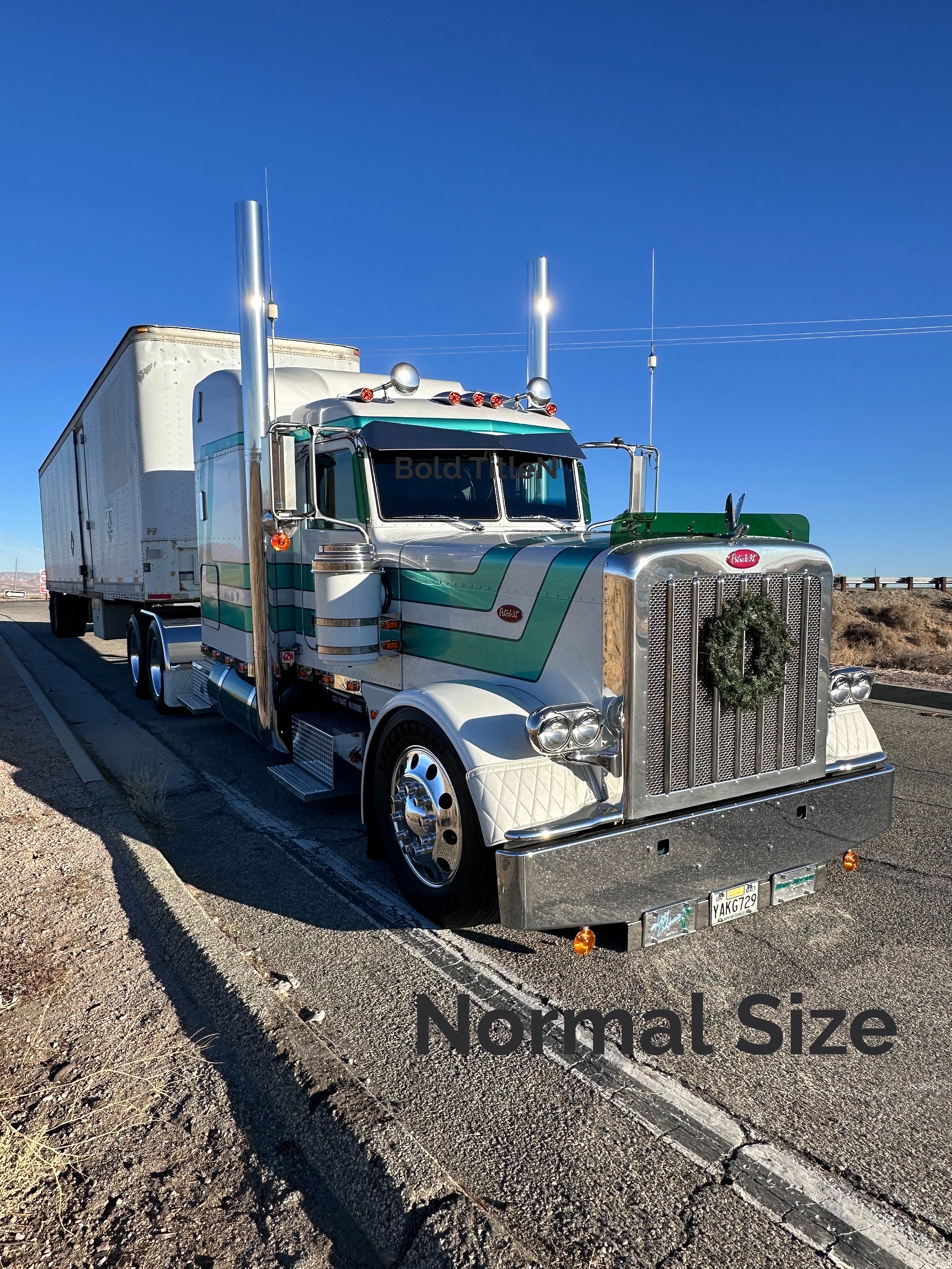 Peterbilt 389/388 Bug Shield