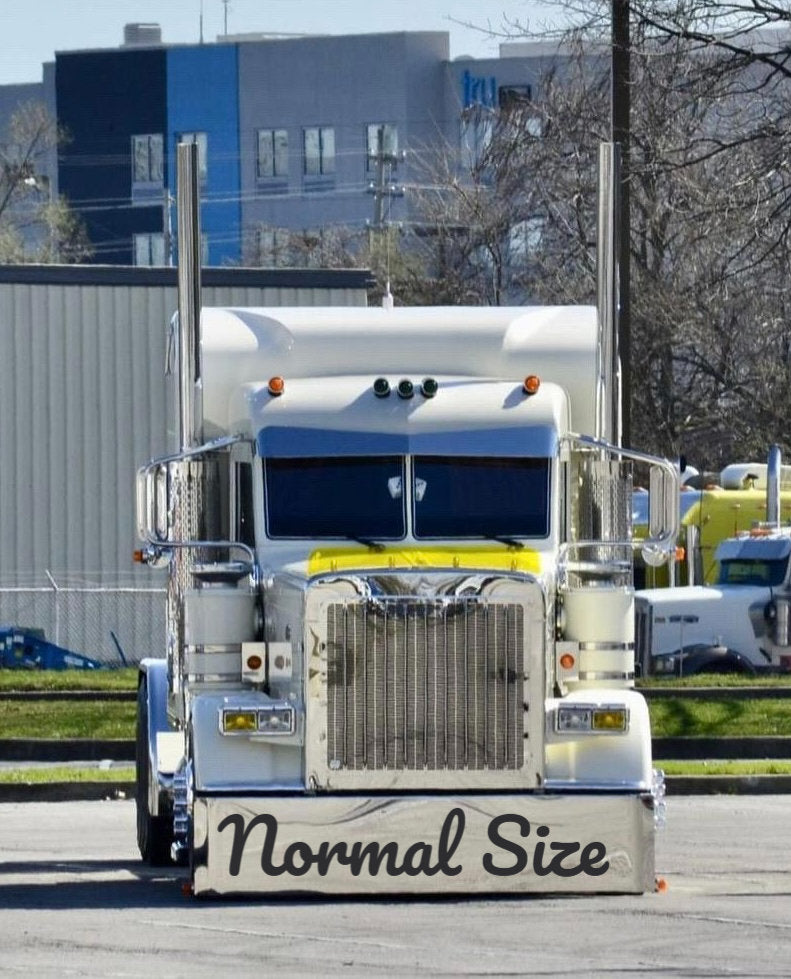 Peterbilt 389/388 Bug Shield