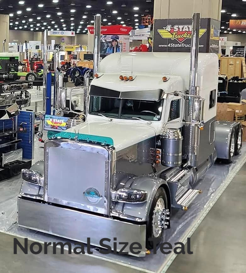 Peterbilt 389/388 Bug Shield