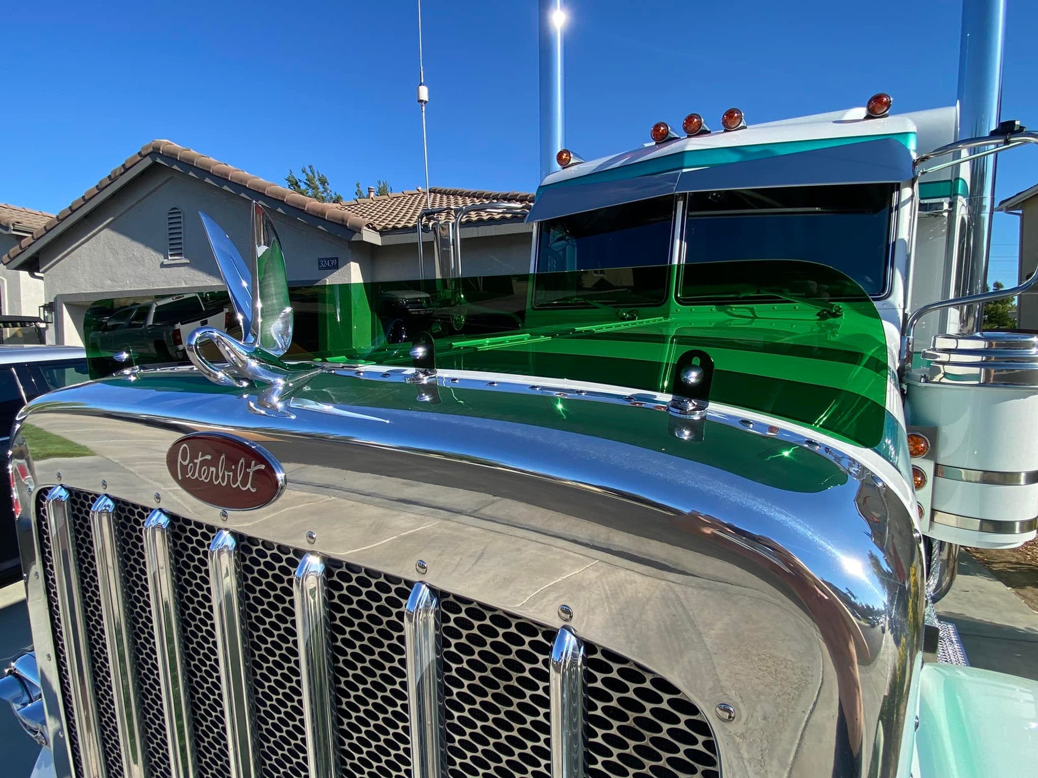 Peterbilt 389/388 Bug Shield