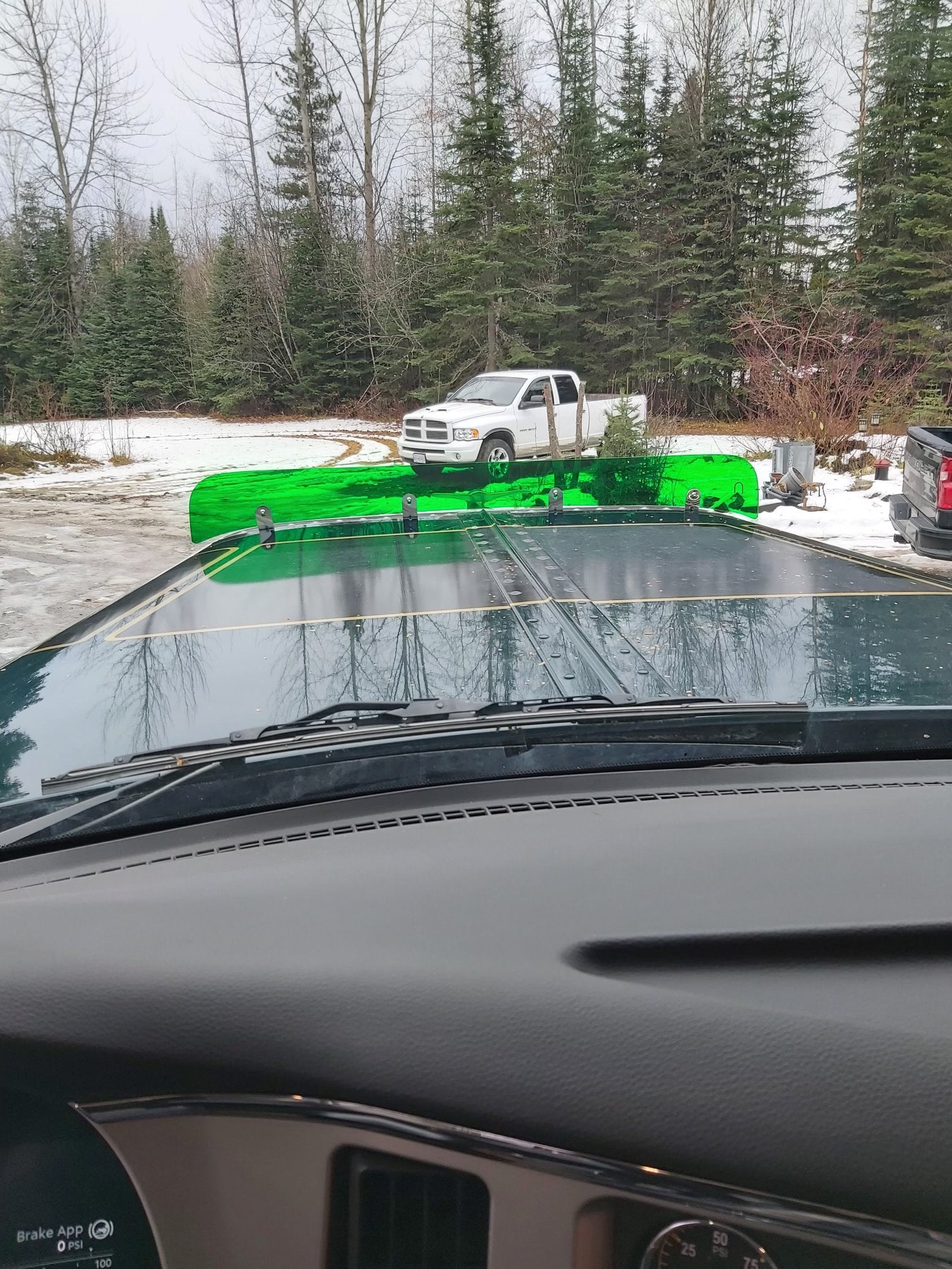 Peterbilt 589 Bugshield