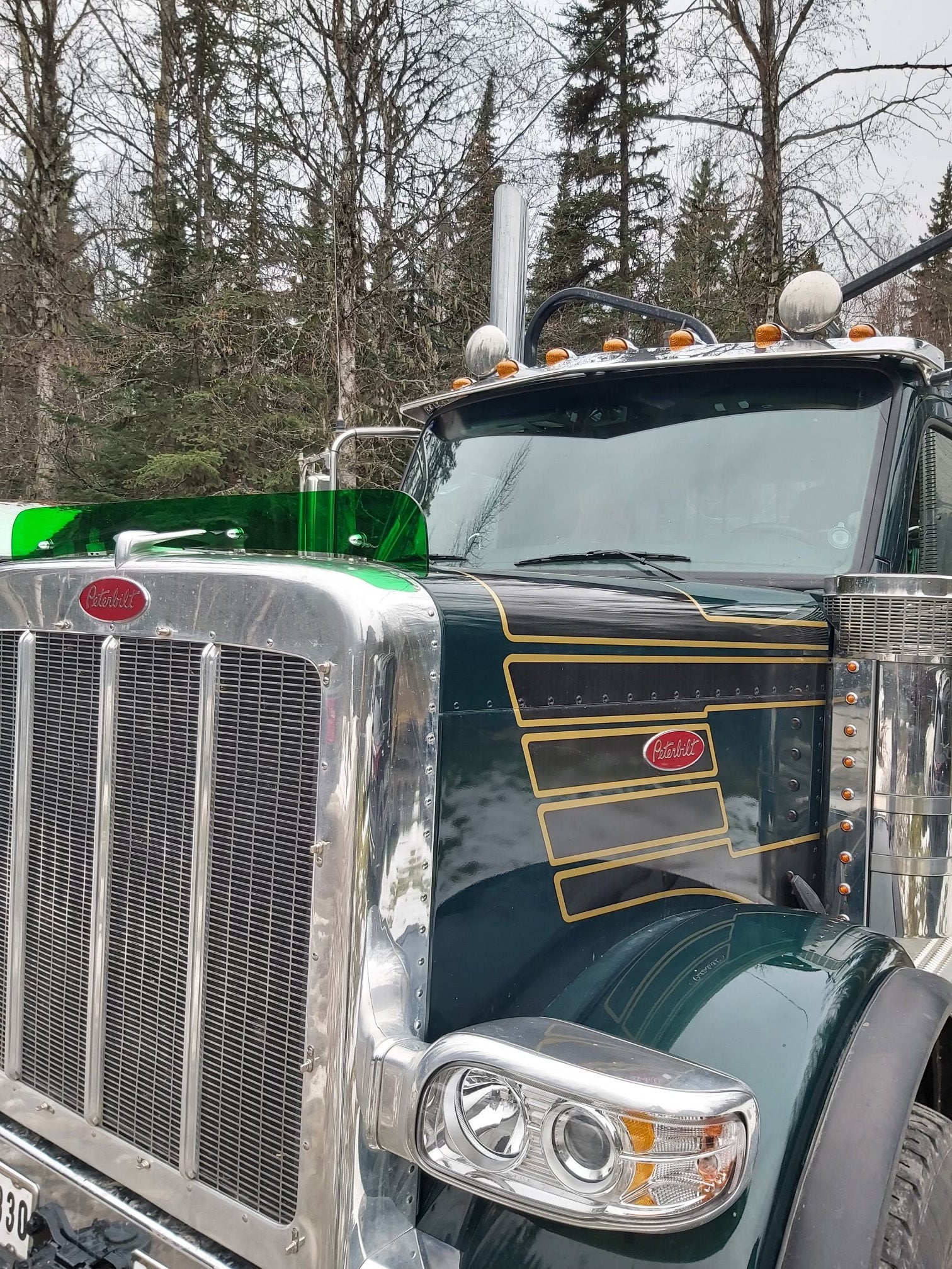 Peterbilt 589 Bugshield
