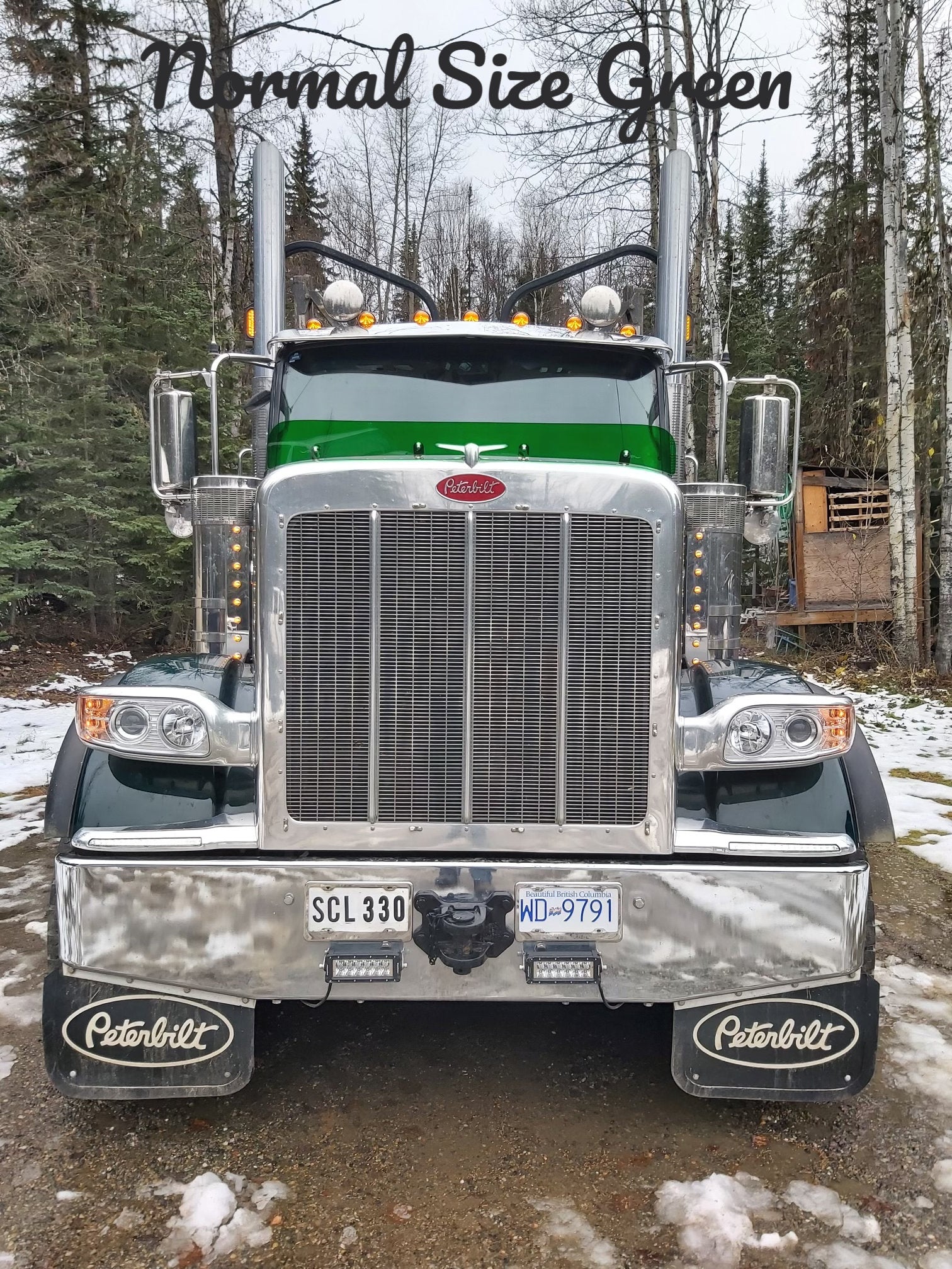 Peterbilt 589 Bugshield