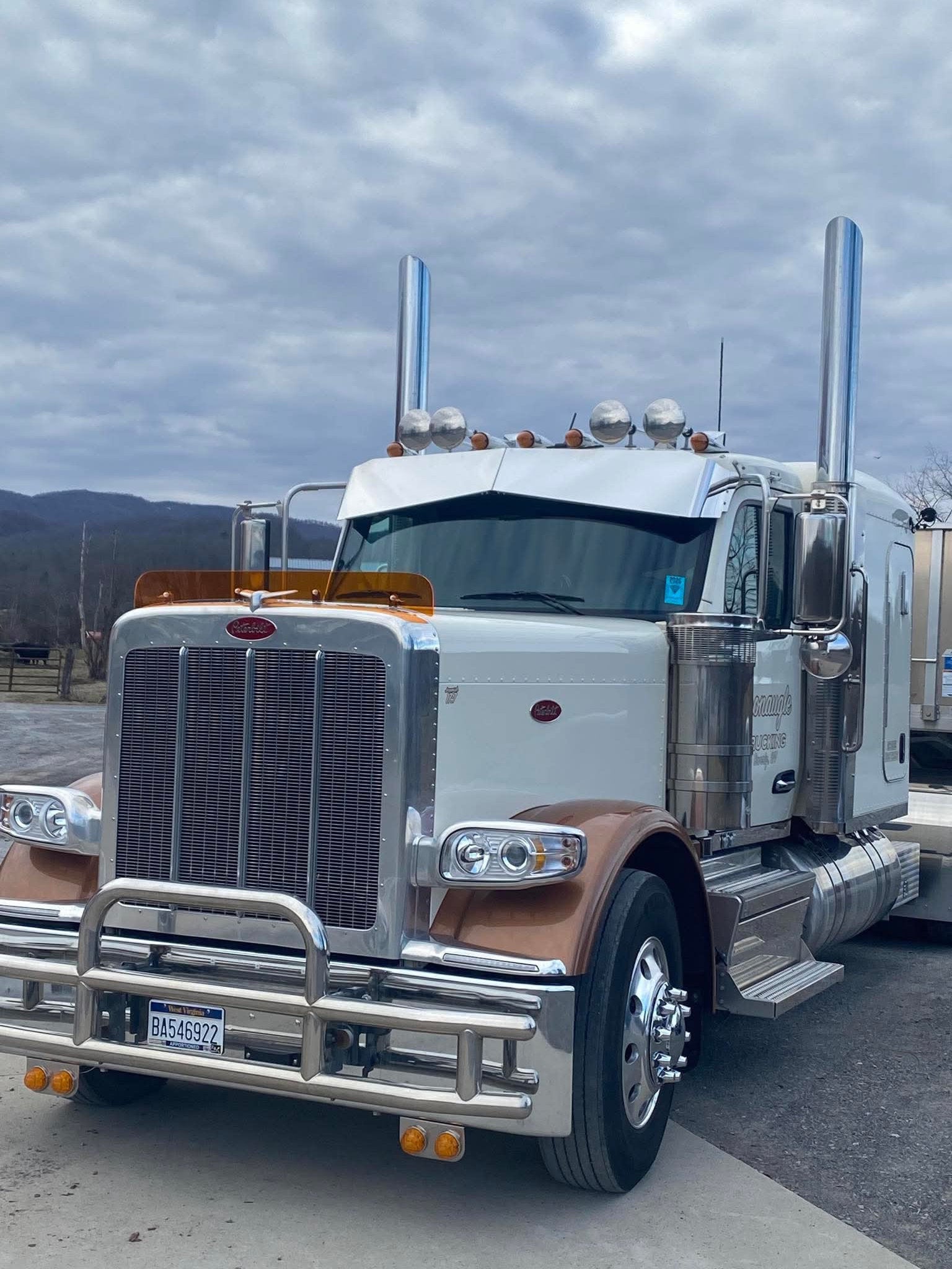 Peterbilt 589 Bugshield