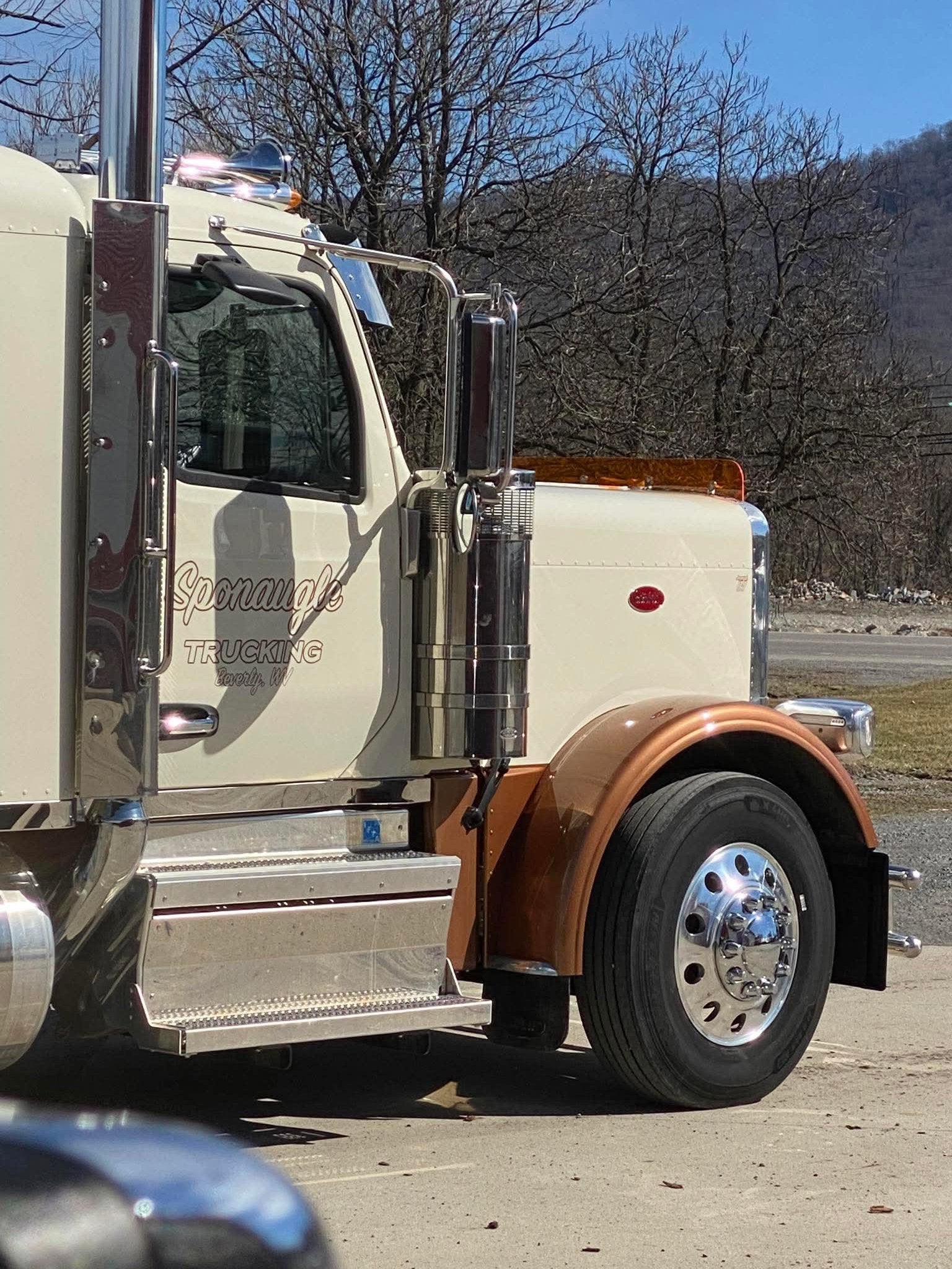Peterbilt 589 Bugshield