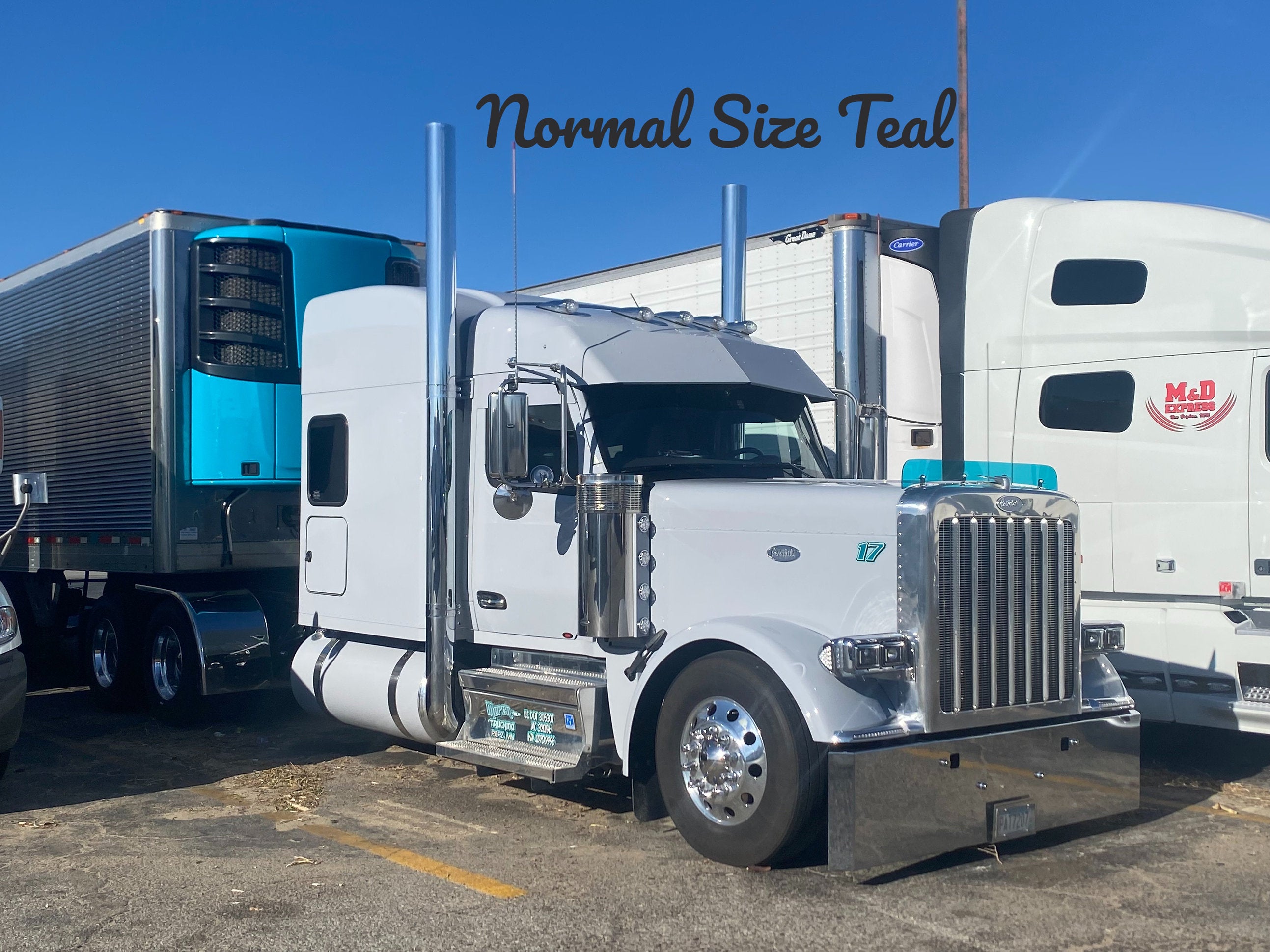 Peterbilt 589 Bugshield