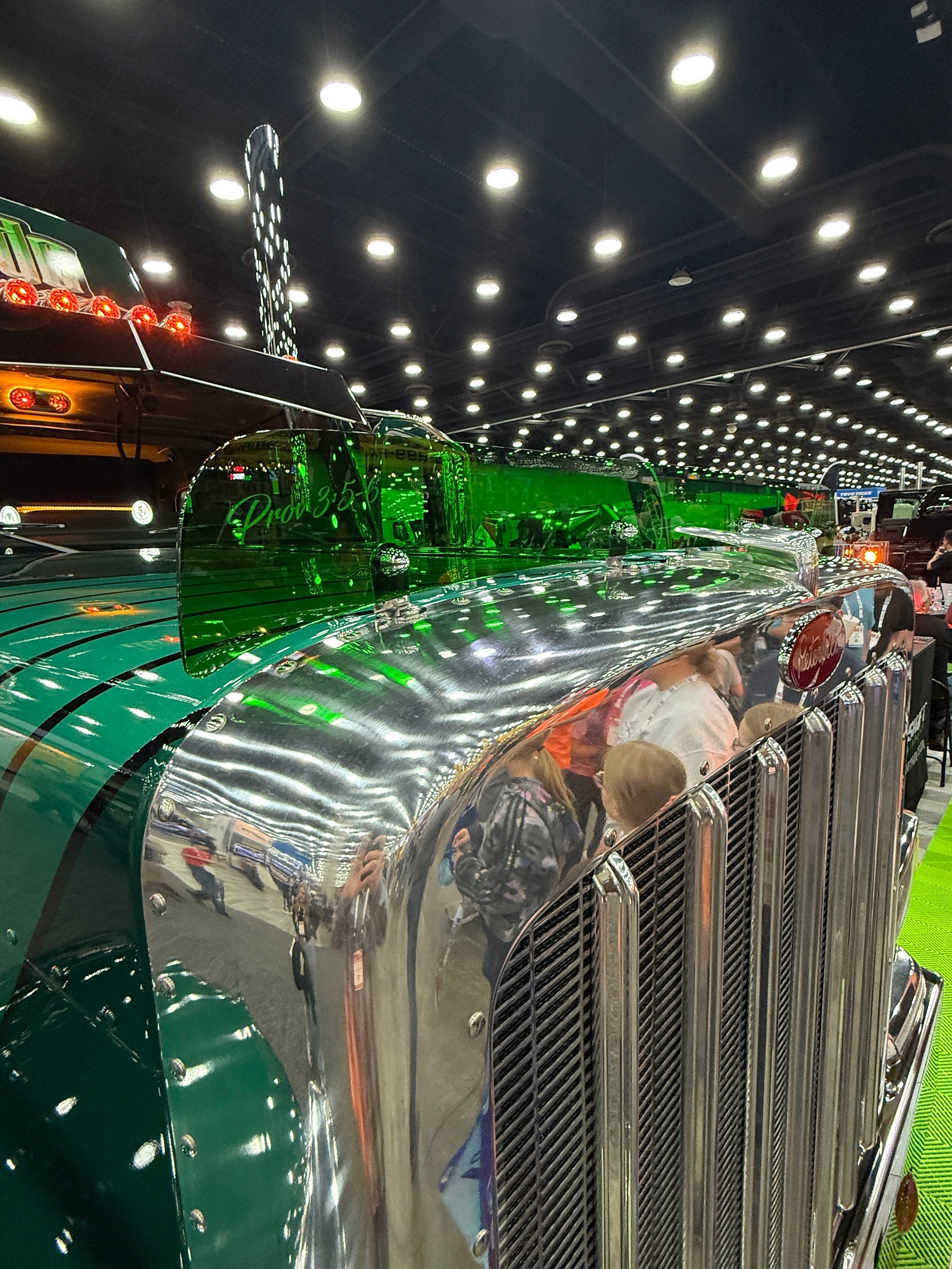 Peterbilt 589 Bugshield