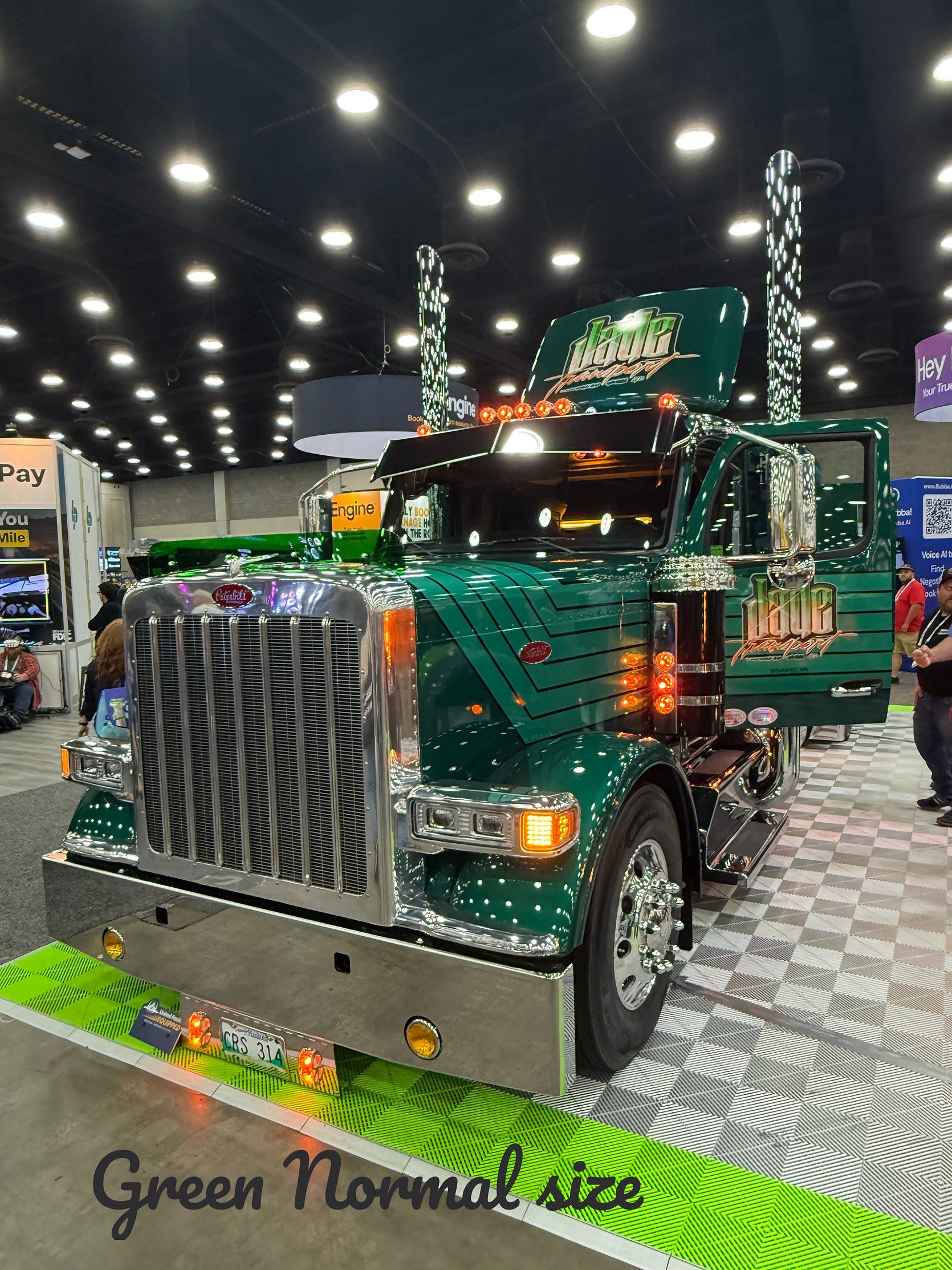 Peterbilt 589 Bugshield