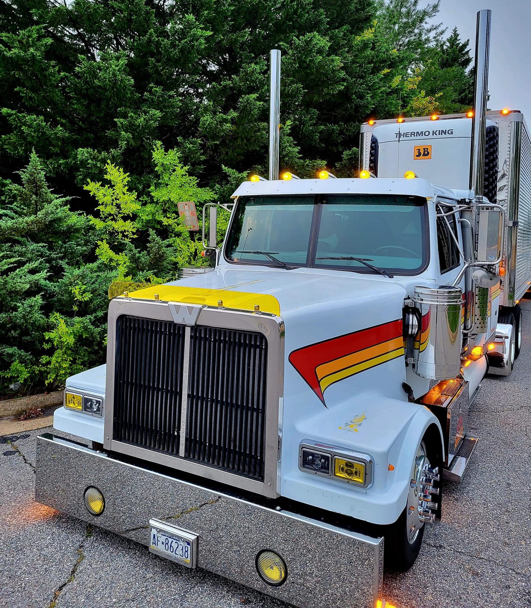 Westernstar 4900 FA, EX, SA Models Bugshield