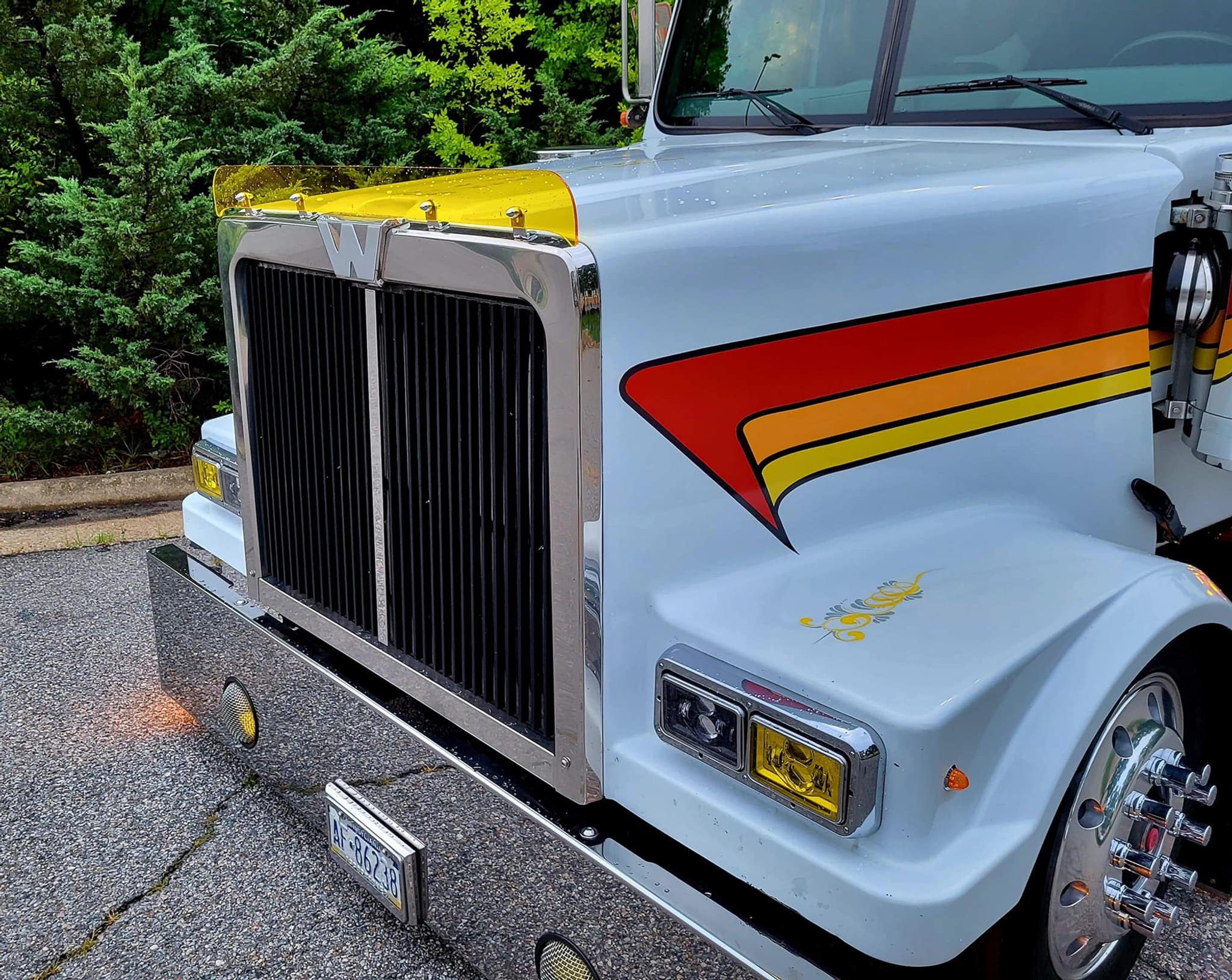 Westernstar 4900 FA, EX, SA Models Bugshield
