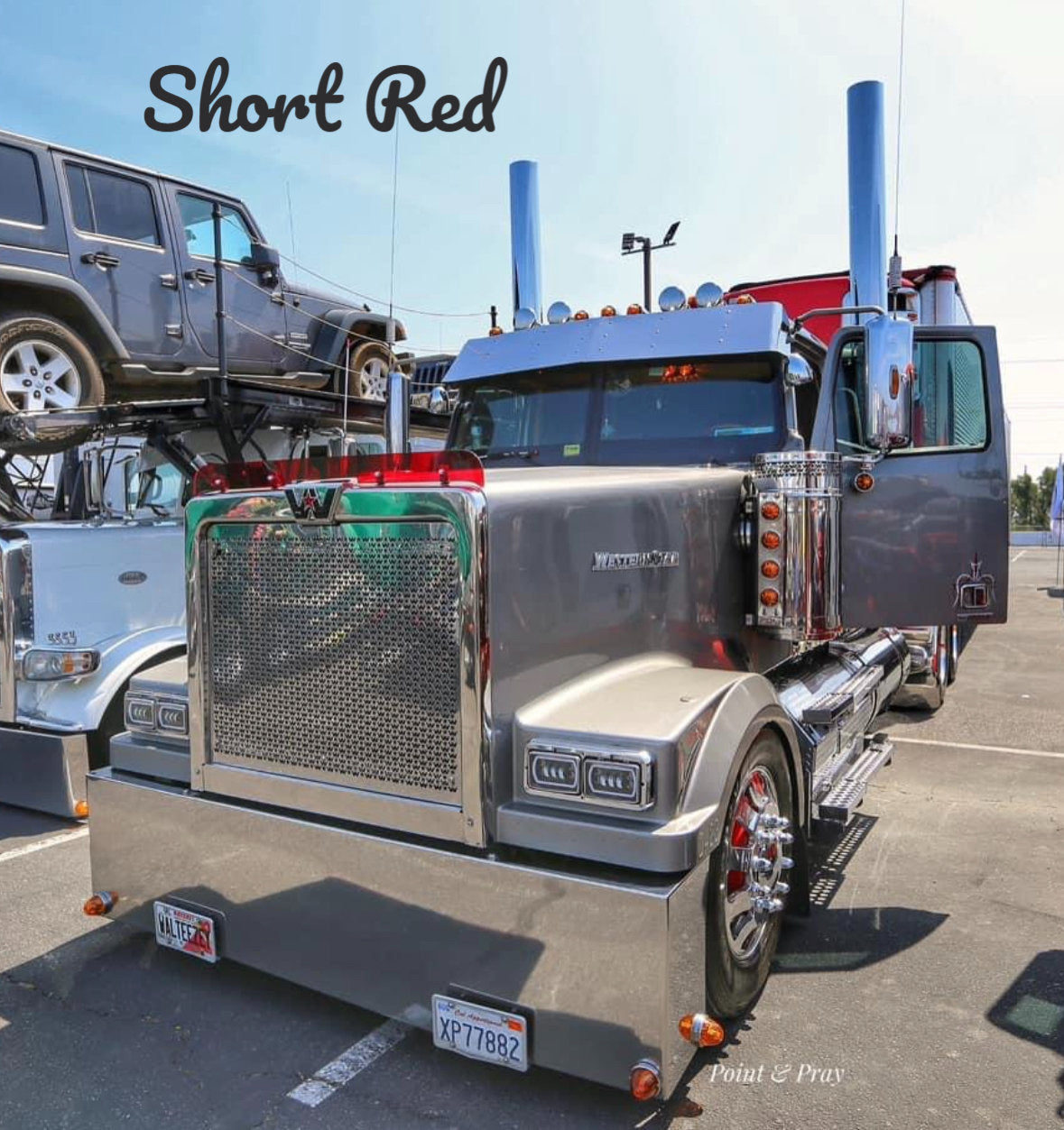 Westernstar 4900 FA, EX, SA Models Bugshield