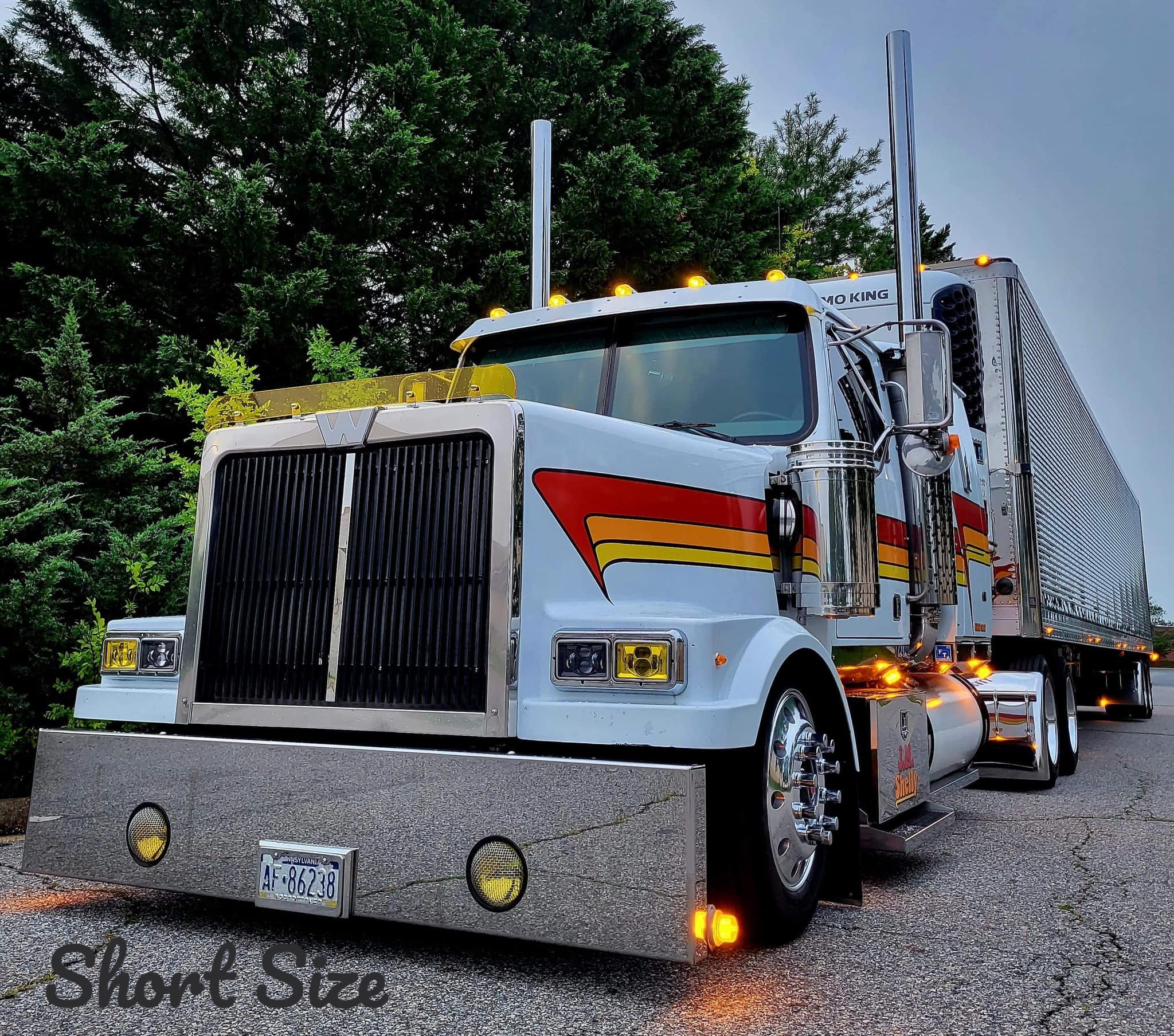 Westernstar 4900 FA, EX, SA Models Bugshield
