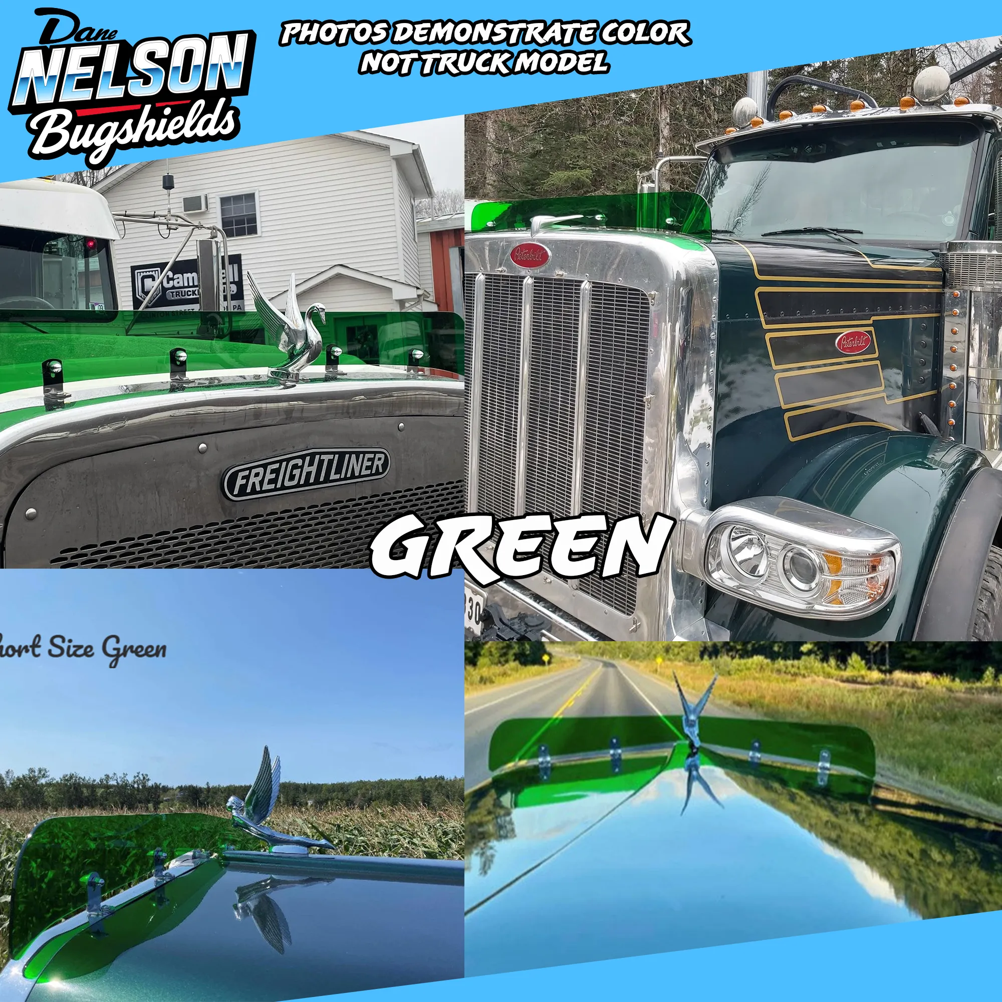 Kenworth 990 Bugshield