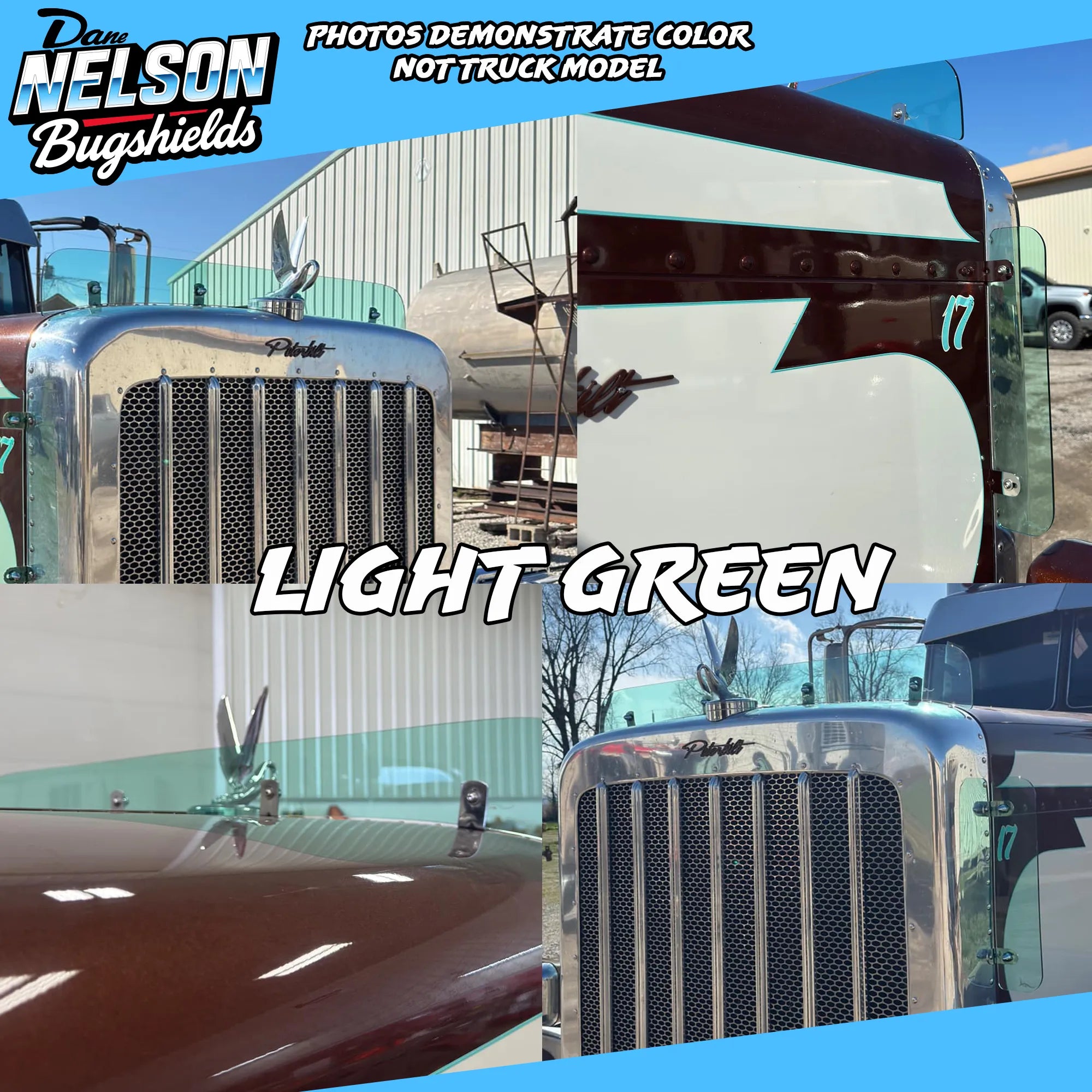 Kenworth T800 Bugshield