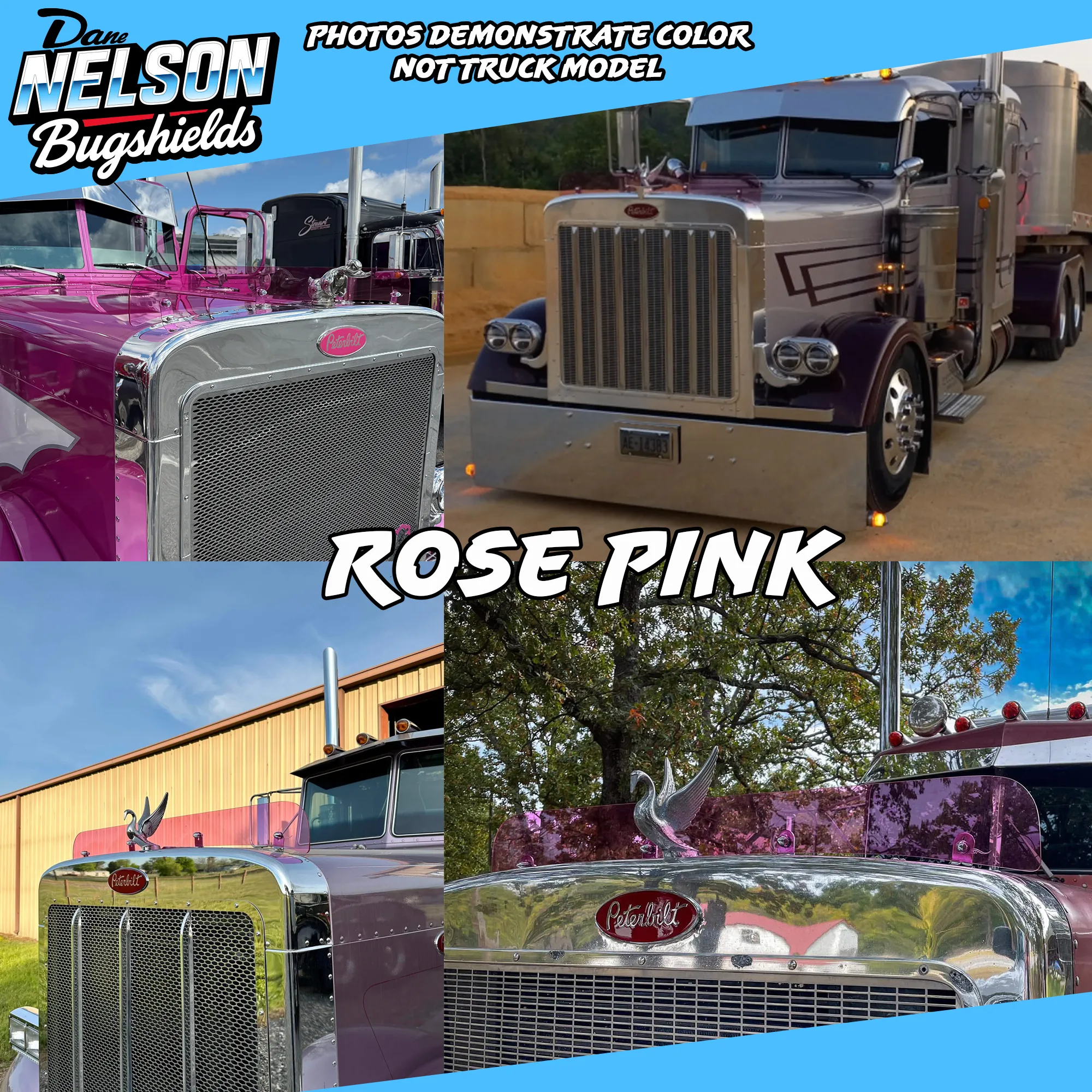 Kenworth T600 *Flat Glass* Bugshield