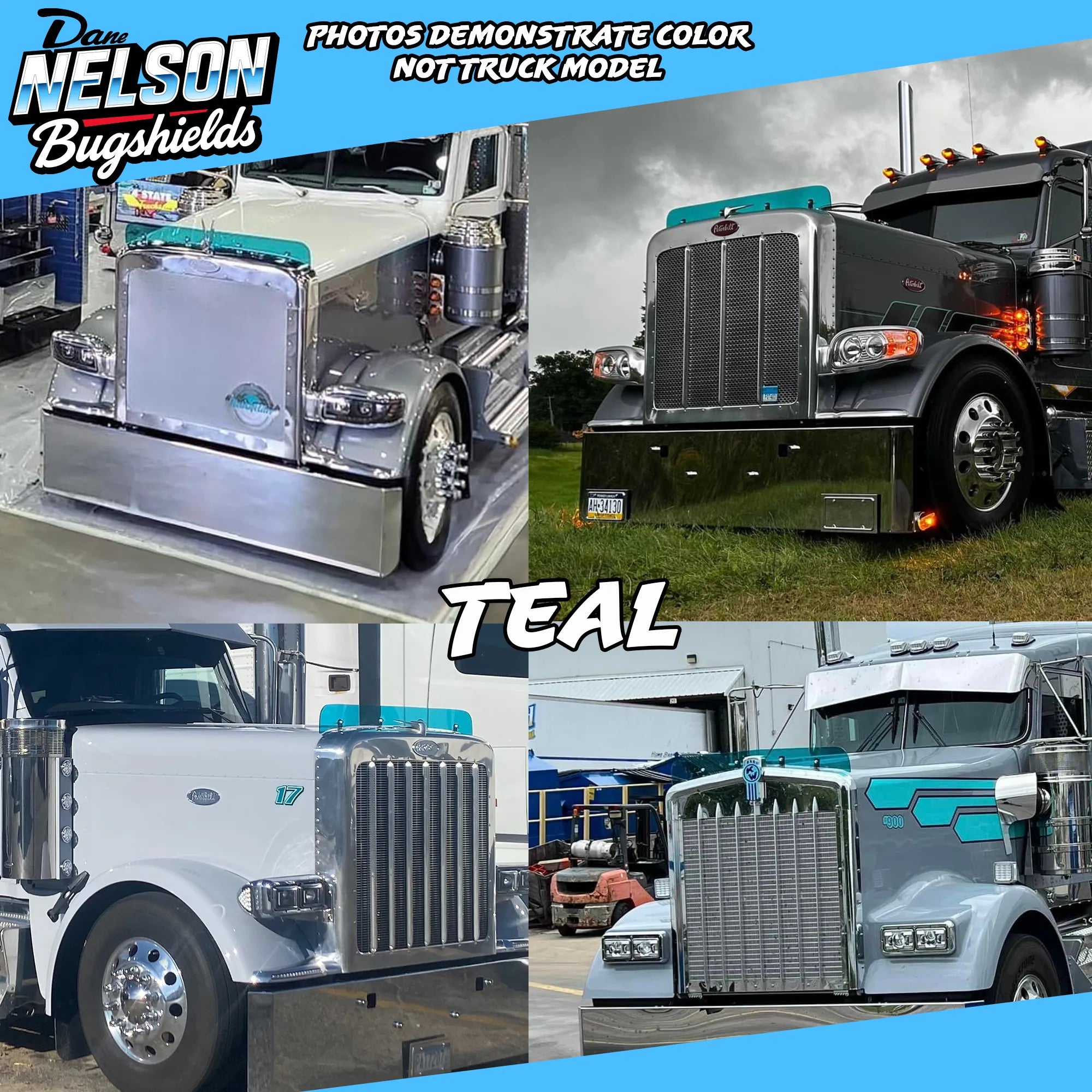 Kenworth 990 Bugshield